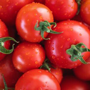 Farm-Fresh Tomatoes
